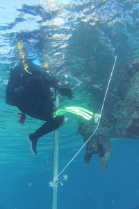 kategorie_5_4_Kreativ-technologi_fotka-1--- NÁVRAT