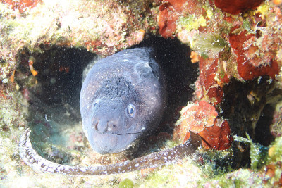 kategorie_5_3_Barevná_z_mori_fotka-1--- SHOVKA