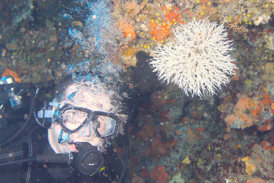 kategorie_5_3_Barevná_z_mori_fotka-3--- OBDIV