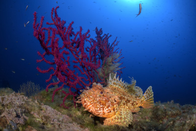 Mediterranean colors