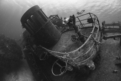 Diver swimming over the Kittiwake
