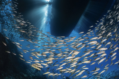 Sun rays in the boat