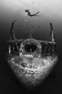 Cordeca without fish