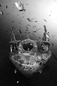 Cordeca plenty of fish