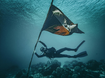 Underwater pole dance (flag pose), Bonaire