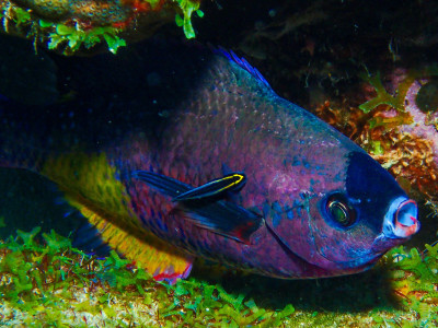 Cleaning has to be done