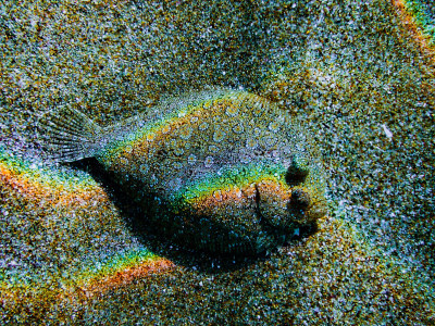 Rainbow under water, Crete