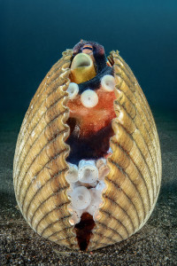 What do you want from me?