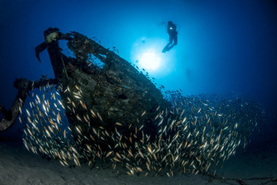 Shipwreck with fishes