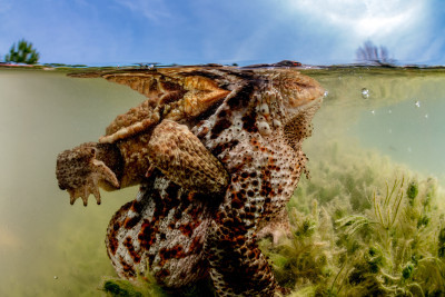 Periscopes - let's control what is above.