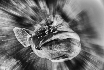 The moment of attack