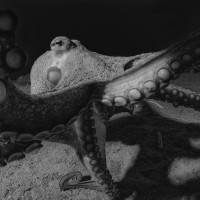 Let's hug each other