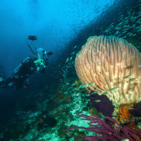 V zajetí vášně  - Banda Neira, Indonésie