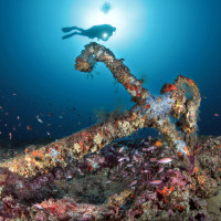 New life on the past