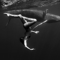 Christine et le Baleineau