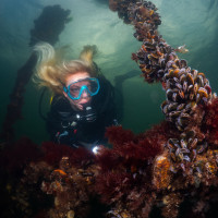 Judith with diver