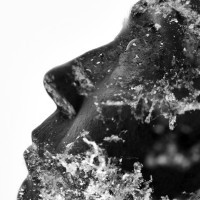 The portrait of my life