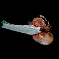 Reflections at night