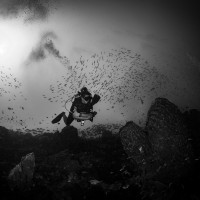 Odpoledne na rifu (UnaUna - Sulawesi - Indonésie)