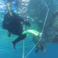 kategorie_5_4_Kreativ-technologi_fotka-1--- NÁVRAT