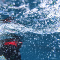 kategorie_5_4_Kreativ-technologi_fotka-3--- ZJEVENÍ