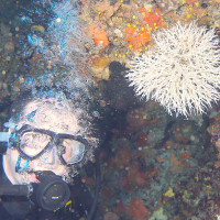 kategorie_5_3_Barevná_z_mori_fotka-3--- OBDIV