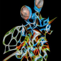 A knight - peacock mantis shrimp