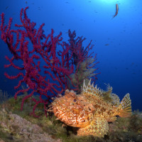 Mediterranean colors