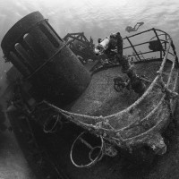 Diver swimming over the Kittiwake