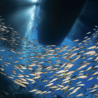 Sun rays in the boat
