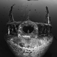 Cordeca without fish