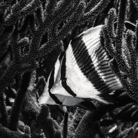 We are a beautiful couple, Cozumel