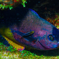 Cleaning has to be done