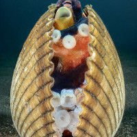 What do you want from me?