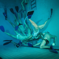 ...všichni do koše!