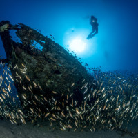 Shipwreck with fishes