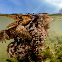 Periscopes - let's control what is above.