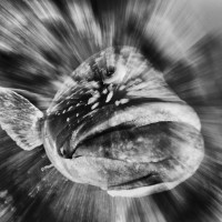 The moment of attack