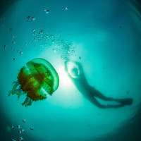 V medůzovém jezeře (Indonézie, Togianské ostrovy)