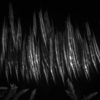 Tails up, heads down