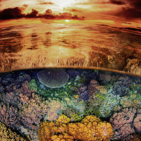 reefscapes at sunset