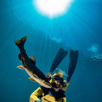 Apnea in Alpenaquarium