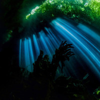 Green cave