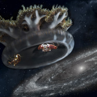 Jelly Cassiopea andromeda traveling to Andromeda galaxy