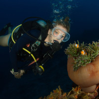 zaujetí jednou sasankou, třemi klauny, a šesti krevetami - Una Una, Indonésie
