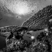 The big buildings of the nature