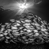 Sluneční pyramida