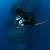 The second dimension