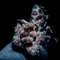 In the spotlight - Macro