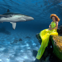 Girl inYellow with Shark